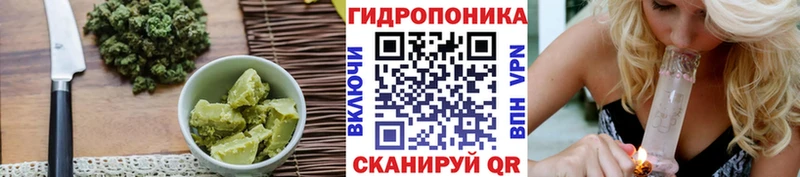 Canna-Cookies конопля  мега ONION  Надым 