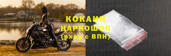 эйфоретик Богданович