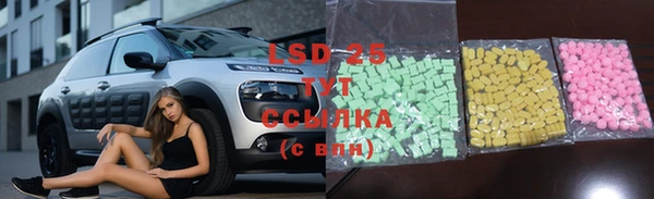 ГАЛЛЮЦИНОГЕННЫЕ ГРИБЫ Богородск