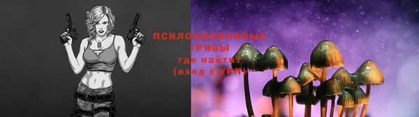 эйфоретик Богданович
