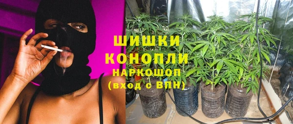 ГАЛЛЮЦИНОГЕННЫЕ ГРИБЫ Богородск