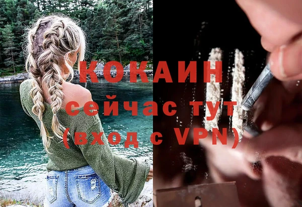 спиды Богородицк