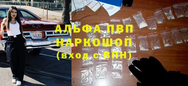 спиды Богородицк