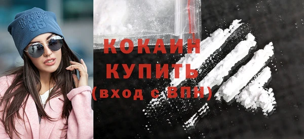 спиды Богородицк