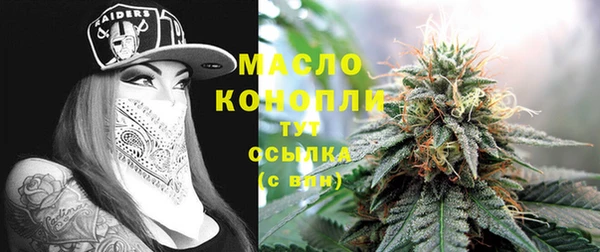 спиды Богородицк