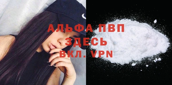 спиды Богородицк