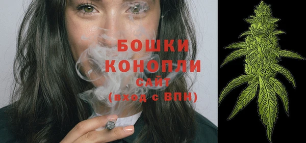 эйфоретик Богданович