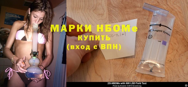спиды Богородицк