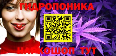 apvp Кандалакша