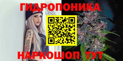 apvp Кандалакша