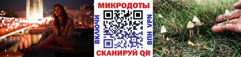 блэк спрут маркетплейс  Надым  Галлюциногенные грибы Psilocybe  сколько стоит 