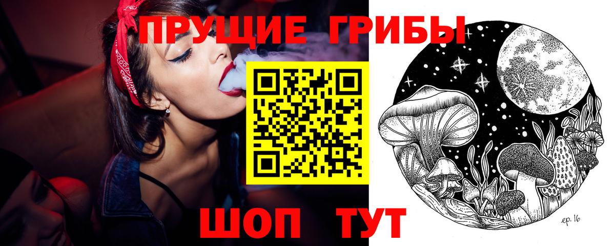 Псилоцибиновые грибы Cubensis Надым